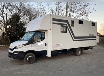 Pferdetransporter Iveco Daily für 3 Pferde mit Wohnkabine