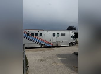 Pferdetransporter