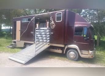 Pferdetransporter