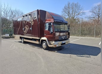 Pferdetransporter