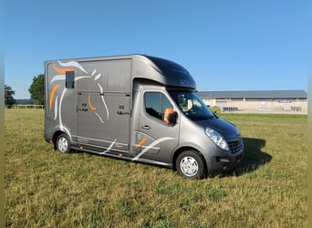 Pferdetransporter Roelofsen Automatik Nur 30.800KM Viehtransporter Selbstfahrer Horsevan