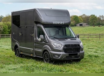 Roelofsen Parados Sport Ford Automatik – 2024 – 8.900 km – Farbe: Porsche Aventuring Green (MARGE)