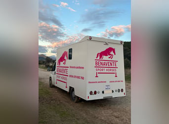Transporter für 2 Pferde