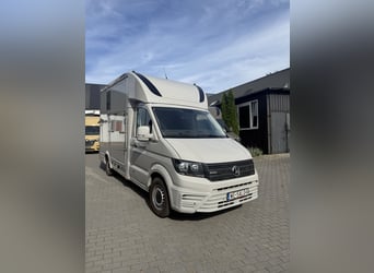Volkswagen Crafter 4x4 (4Motion) 2023 Neuer Pferdeanhänger für Hengst