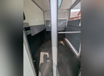 Zwei Pferdetransporter Peugeot