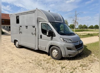 Citroen Jumper 2-Pferdetransporter Gebrauchtfahrzeug 3-Sitzer