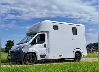 FIAT Ducato Böckmann Compact 2-Pferdetransporter LKW Sprinter Neuwertig TOP Zustand