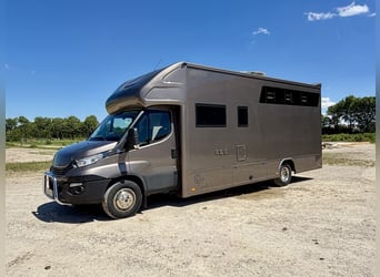 IVECO Daily RJH Sport Pro H3 Pferdetransporter Wohnkabine 3 Pferde Automatik WC Dusche LKW