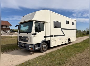 MAN 8.180 Steinsberger Pferdetransporter 4 Pferde Wohnkabine Dusche LKW