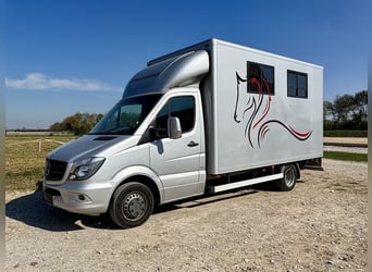 Mercedes-Benz Sprinter 2-Pferdetransporter Sattelkammer LKW