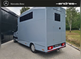 Mercedes-Benz Sprinter 319 CDI Pferdetransporter