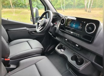 Mercedes-Benz Sprinter 319 CDI Pferdetransporter