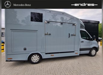 Mercedes-Benz Sprinter 319 CDI Pferdetransporter