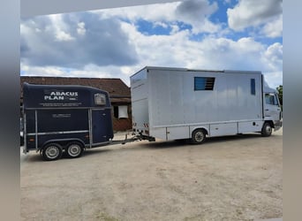 Mercedes Pferde LKW 7,5 t
