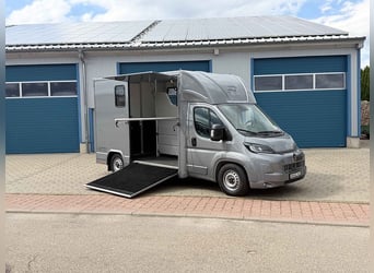 Pferdetransporter Citroen Jumper Automatik 180PS Klima Navi Viehtransporter Horsetruck Horsevan
