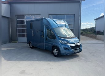 Pferdetransporter Citroen Jumper Nur 68.000KM Klima 163 PS Viehtransporter Selbstfahrer Euro 6 Motor