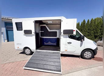 Pferdetransporter Hengstausstattung Viehtransporter Tiertransporter Chevaux Horsetruck