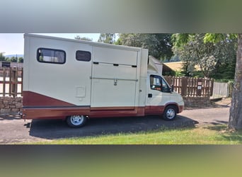 Pferdetransporter
