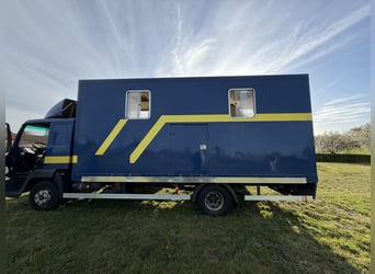 Pferdetransporter MAN bis 7,5t für 4 Pferde