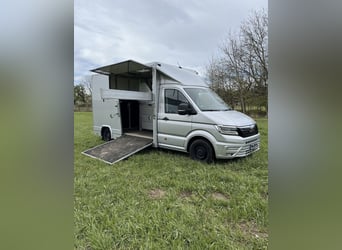 Pferdetransporter MAN TGE 3.180 Automatik 3,5t Horsetruck