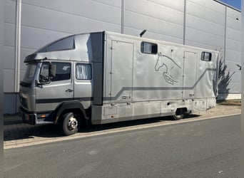 Pferdetransporter Mercedes 817 L