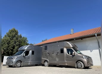 Renault EQUITA 2-Pferdetransporter 5-Sitzer LKW NEU