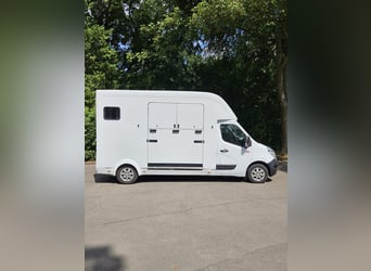 Renault Master,  3,5t,   Transporter für 2 Pferde