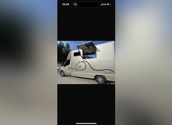 Renault Master Pferdetransporter-Erstzulassung 17.05.2023 !!TOP ZUSTAND!!