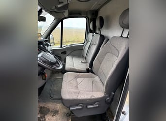 Renault Master Pferdetransporter gebraucht