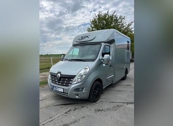 Renault Master STX Pferdetransporter