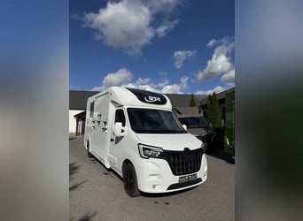 STX Pferdetransporter Renault Master Automatik 180 PS
