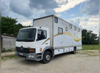 Transporter Pferde