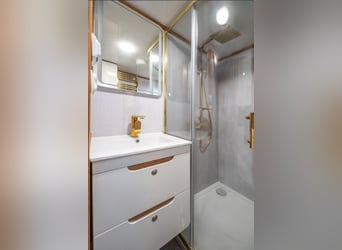 Koniowóz DAF XF 480 / EURO 6 / zabudowa specjalna na 4 KONIE