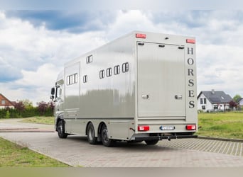 Koniowóz DAF XF 480 / EURO 6 / zabudowa specjalna na 4 KONIE