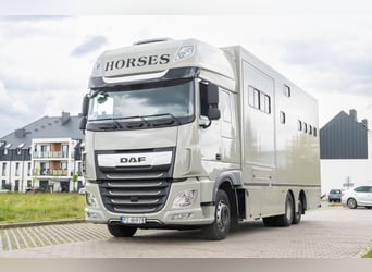 Koniowóz DAF XF 480 / EURO 6 / zabudowa specjalna na 4 KONIE