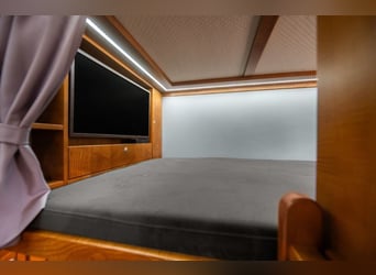 Koniowóz DAF XF 480 / EURO 6 / zabudowa specjalna na 4 KONIE