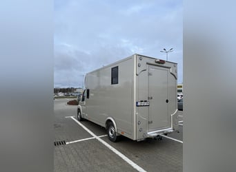 Koniowóz Peugeot Boxer 2024, tylko 29.000 km, nowa zabudowa - na gwarancji