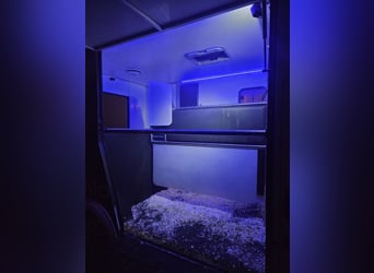 Kutschwagen für 2 Pferde – Top Zustand