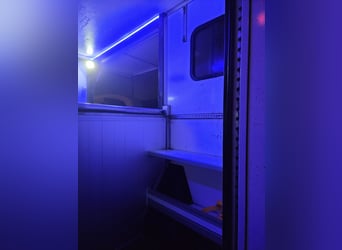 Kutschwagen für 2 Pferde – Top Zustand