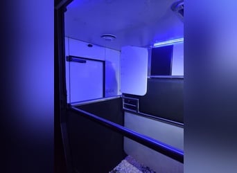 Kutschwagen für 2 Pferde – Top Zustand