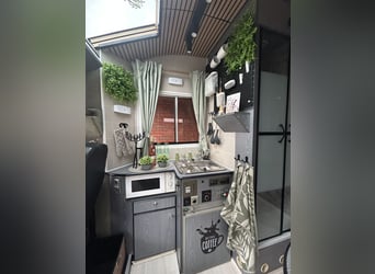 Oldtimer Liebhaberfahrzeug Pferdelkw Wohnmobil