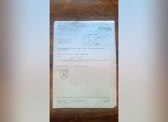 Pferdeanhänger