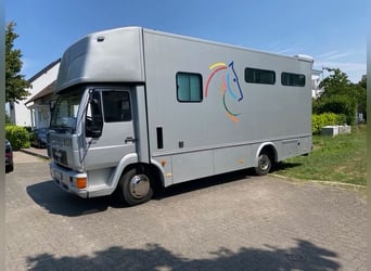 Pferdetransporter MAN 7,5 Tonner