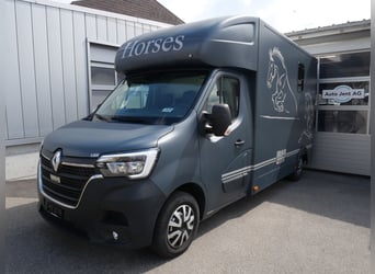 RENAULT Master Automat MSG Pferdetransporter Selbstfahrer
