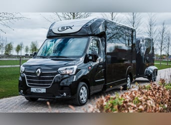 STX 2 Horses Hengst – Mehrere Versionen erhältlich!