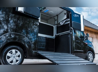 STX 2 Horses Hengst – Mehrere Versionen erhältlich!