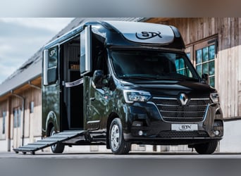 STX 2 Horses Hengst – Mehrere Versionen erhältlich!