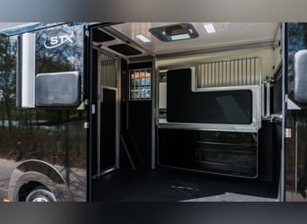 STX 2 Horses Hengst – Mehrere Versionen erhältlich!