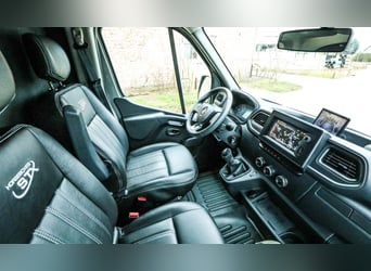 STX 2 Horses Hengst – Mehrere Versionen erhältlich!