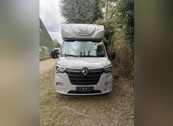 Toller 2 Pferdetransporter